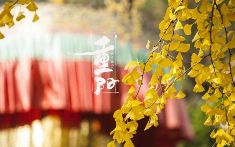 金秋送爽，心暖重陽。祝您重陽愉快，闔家歡樂，福壽安康！